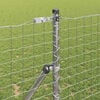 Miniatuurafbeelding van het product 3 van 8
