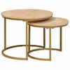 vidaXL Nest Koffietafels 2 st Bruin 50 x 50 x 40 cm