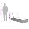 vidaXL Ligstoelen 2 st met kussens poly rattan beige