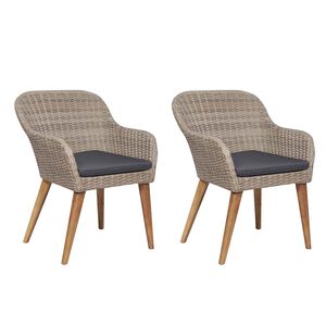 vidaXL Tuinstoelen 2 st met kussens poly rattan bruin
