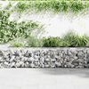 vidaXL Gabion mand 100x50x50 cm gegalvaniseerd staal