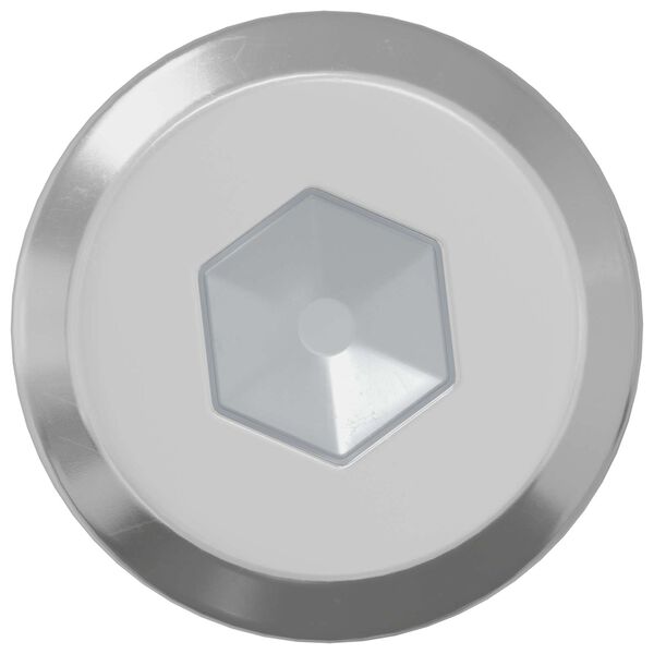 vidaXL Slotschroef Effen 2 pcs Zilver M6 x 30 mm Staal