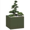 Olive_green