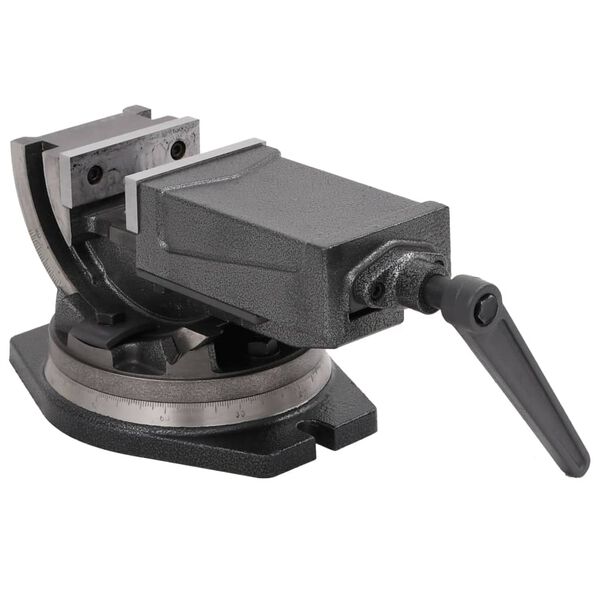 vidaXL Bankschroef met 2 assen kantelbaar 100 mm