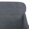 vidaXL Fauteuil 63x76x80 cm fluweel donkergrijs