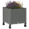 Miniatuurafbeelding van het product 3 van 8