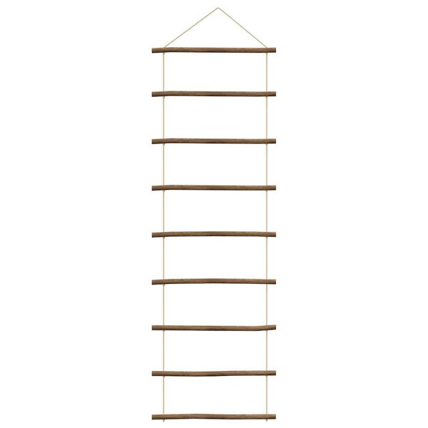 vidaXL Wanddecoratie laddervormig 50x150 cm naturel tak