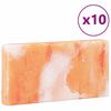vidaXL Zoutstenen 10 pcs Roze 20 x 2,5 x 10 cm Steenzout