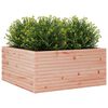 vidaXL Plantenbak 100x100x46 cm massief douglashout