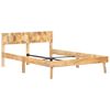 vidaXL Bedframe massief mangohout 120x200 cm