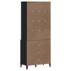 vidaXL Hoge kast VIKEN 80x40x190 cm massief grenenhout zwart