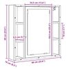 vidaXL Badkamerspiegelkast 60x16x60 cm spaanplaat ambachtelijk