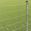 Miniatuurafbeelding van het product 4 van 9