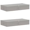 vidaXL Opbergbox 2 st Nonwoven stof 100 x 50 x 18 cm 90 l Grijs