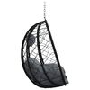 vidaXL Hangende ei-stoel Antraciet 91.5 x 60 x 110 cm poly rattan