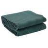 vidaXL Tenttapijt Groen 300 x 200 cm Polyester