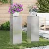 vidaXL Plantenstandaard 2 pcs Zilver 24 x 24 x 75 cm Roestvrij staal