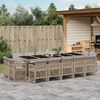 vidaXL 15-delige Tuinset met kussens poly rattan gemengd beige