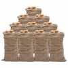 vidaXL Jutezakken 10 stuks 220 g/m&sup2; 65x135 cm 100% jute