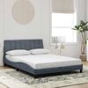 vidaXL Bedframe zonder matras "Hanko" 120x200 cm fluweel donkergrijs