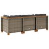 vidaXL Tuinbank 3-zits met kussens poly rattan grijs