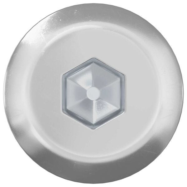 vidaXL Meubelschroeven 12 pcs Zilver M6 x 120 mm Staal