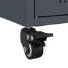 Miniatuurafbeelding van het product 12 van 14