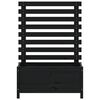 vidaXL Plantenbak met rek 79x39,5x114 cm massief grenenhout zwart