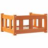 vidaXL Hondenbed Wasbruin 55 x 45 x 28 cm Massief grenenhout