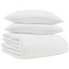 vidaXL Winter Dekbed met kussen 3 st Wit Donsveertjes