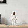Miniatuurafbeelding van het product 2 van 6