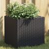 vidaXL Plantenbakken 2 st 36x30x32 cm poly rattan zwart