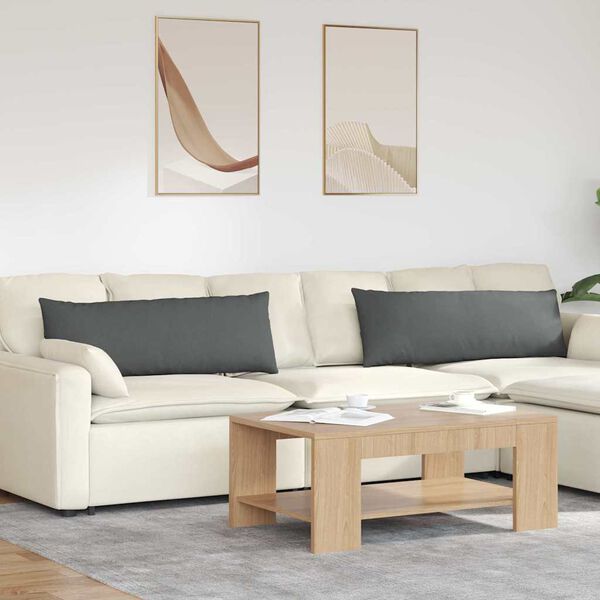 vidaXL Sofa Kussens 2 stuks Donkergrijs 120 x 40 cm Stof