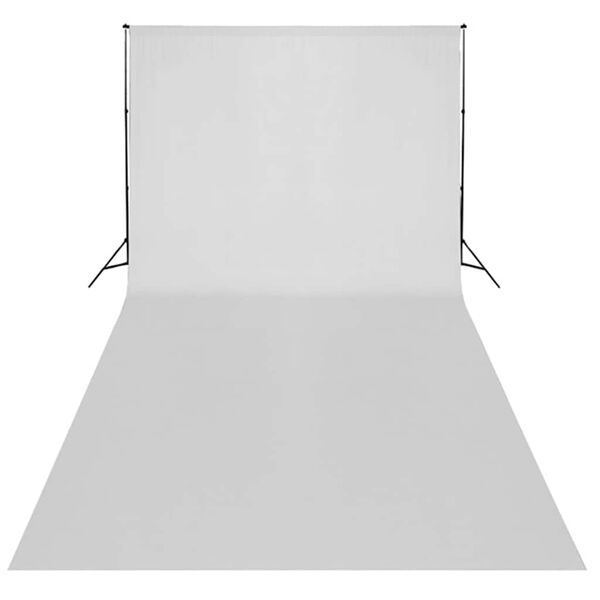 vidaXL Fotostudioset met verlichtingsset en achtergrond