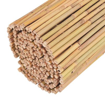 vidaXL Scherm 300x100 cm bamboe