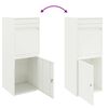 vidaXL Pakket inwerp box met opslag Wit 41 x 38 x 103 cm Staal