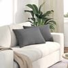 vidaXL Sofa Kussens 2 stuks Donkergrijs 60 x 40 cm Stof