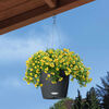 LECHUZA Plantenbak NIDO Cottage 28 ALL-IN-ONE hangend granietkleurig