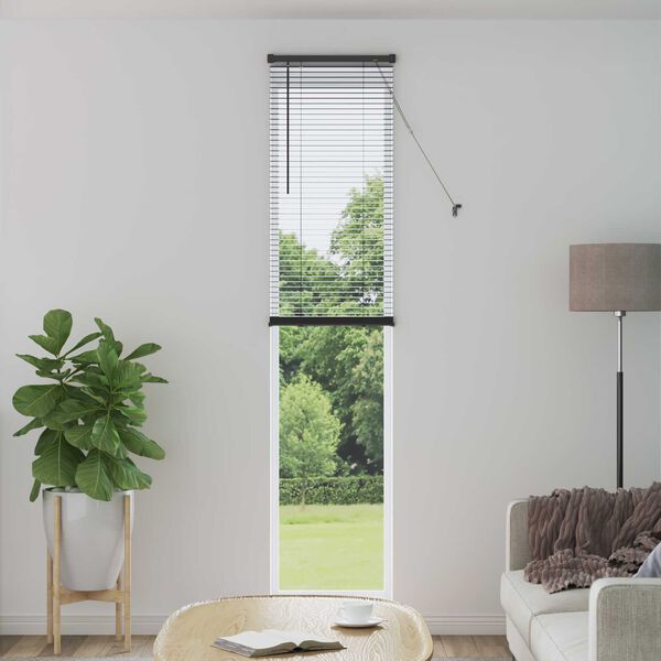 vidaXL Venetiaanse Blind Verstelbaar Zilvergrijs 213 x 60 cm PVC