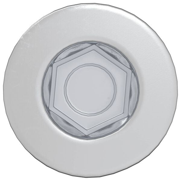 vidaXL Hoofdkapbout 2 pcs Zilver M7 x 40 mm Staal