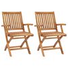 vidaXL Opklapbare stoelen, 2 stuks, massief teakhout