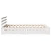 Miniatuurafbeelding van het product 5 van 11