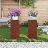 vidaXL Plantenstandaard 2 pcs Roestig 24 x 24 x 55 cm Cortenstaal