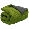 vidaXL Winter Dekbed Groen en Antraciet 220 x 135 cm Microfiber