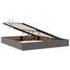vidaXL Opbergbed met LED met matras Grijs 160 x 200 cm Nep Leer