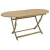 vidaXL Tuintafel inklapbaar 160x85x75 cm massief acaciahout