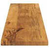 vidaXL Tafelblad rechthoekig 160x20x2,5 cm massief mangohout