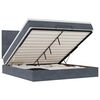 vidaXL Ottoman bed met matrassen en LED's 160x200cm fluweel