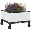 Miniatuurafbeelding van het product 3 van 8