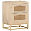 vidaXL Nachtkastje 40x30x50 cm massief mangohout en ijzer